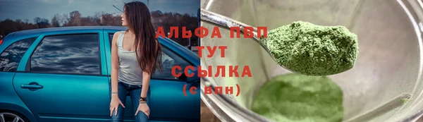 тгк Белая Холуница