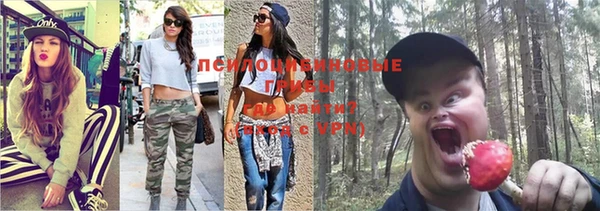 альфа пвп Аша