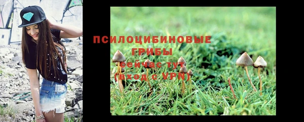 амф Бежецк