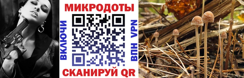 Псилоцибиновые грибы прущие грибы  как найти закладки  Гаджиево 